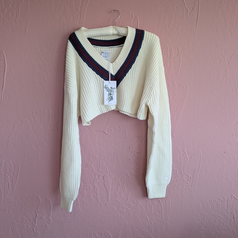 danielle guizio x champion Knit Crop Sweater